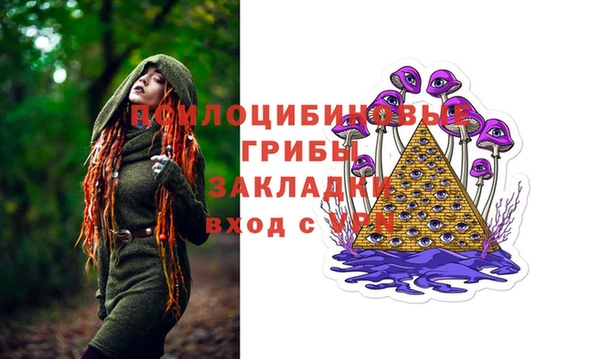 крисы Краснослободск
