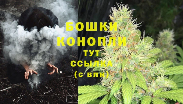 крисы Краснослободск