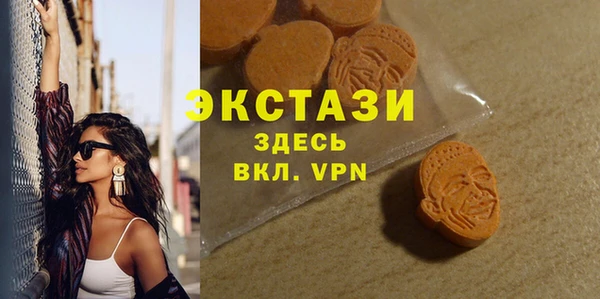 крисы Краснослободск