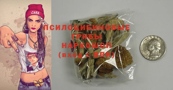 крисы Краснослободск