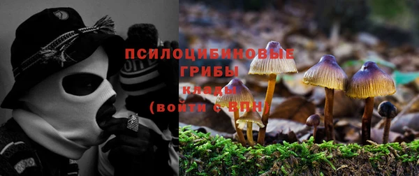 ECSTASY Краснотурьинск